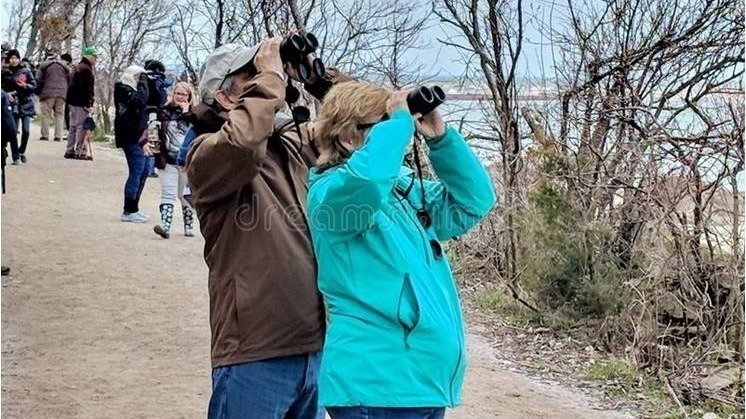 Petition · Support the Pathway to Safety along the Long Point Causeway ...