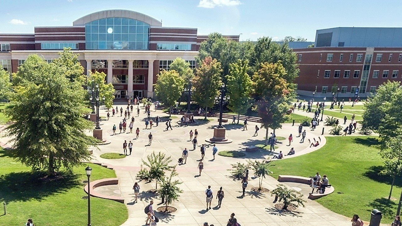 Petition · Shift MTSU to PASS or FAIL for the spring 2020 semester
