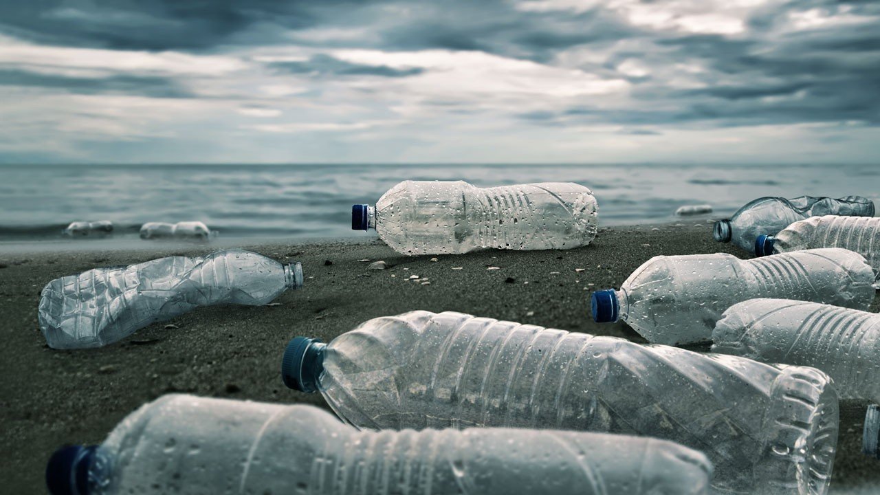 Petition BAN PLASTIC WATER BOTTLES FROM TEMPLE UNIVERSITY Change Petition BAN PLASTIC WATER BOTTLES FROM TEMPLE UNIVERSITY Change