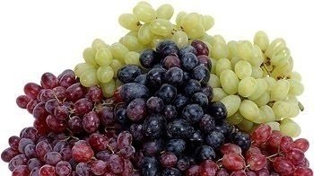 Peion Allow The Fruit Bowl To Be Back On Dining Room Table Allow The Fruit Bowl To Be Back On Dining Room Table In Our Inpatient Unit