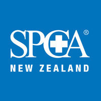 Spca New Zealand 2025