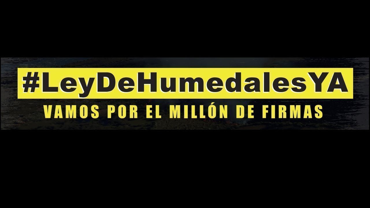 Public Firm Freight Tech añade la Moneda Meme de Trump a su Balance. -  Bitcoin News, image size:1280x720