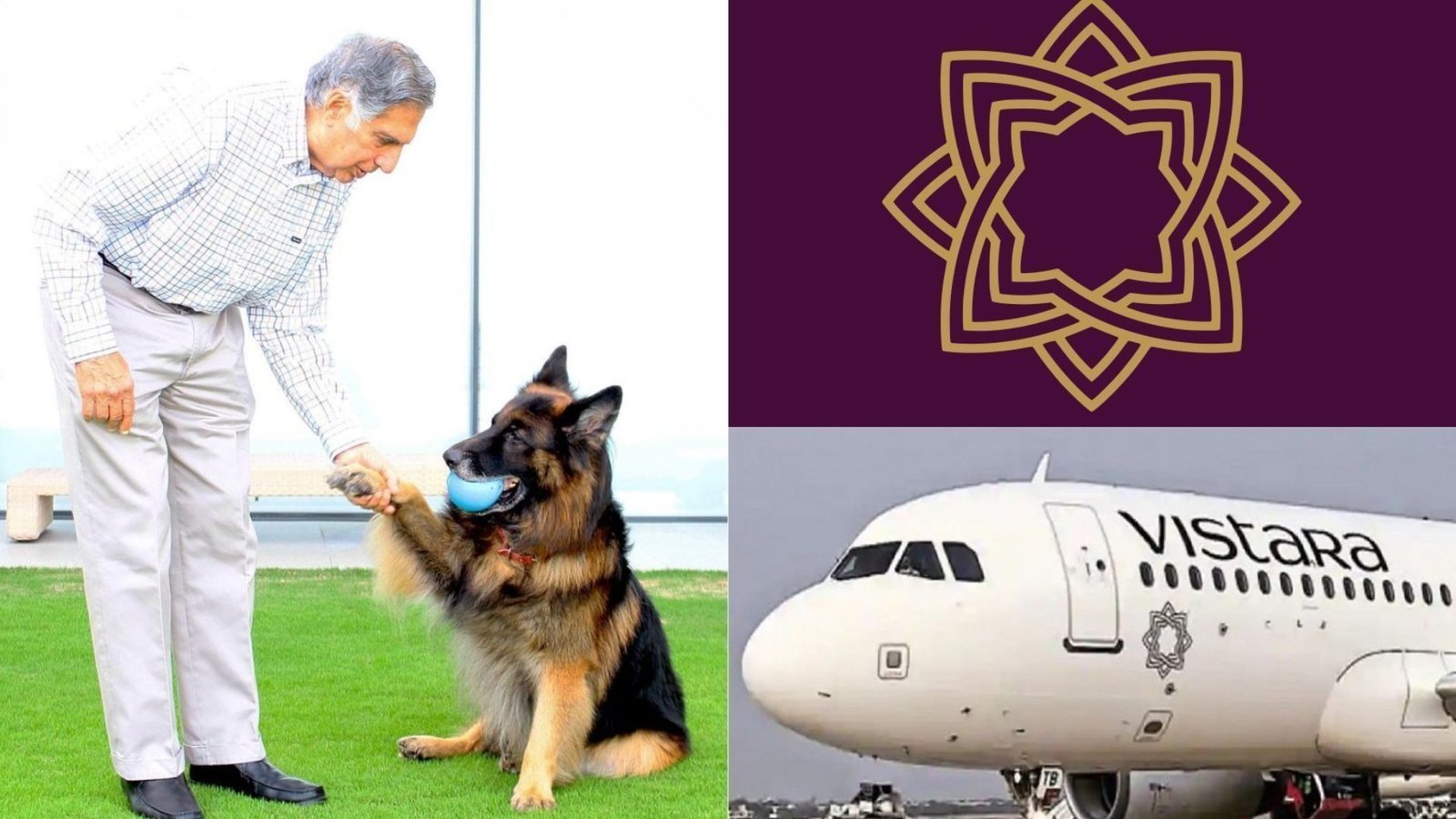 Petition · Allow Pets to Fly on Vistara PetsOnBoard India ·