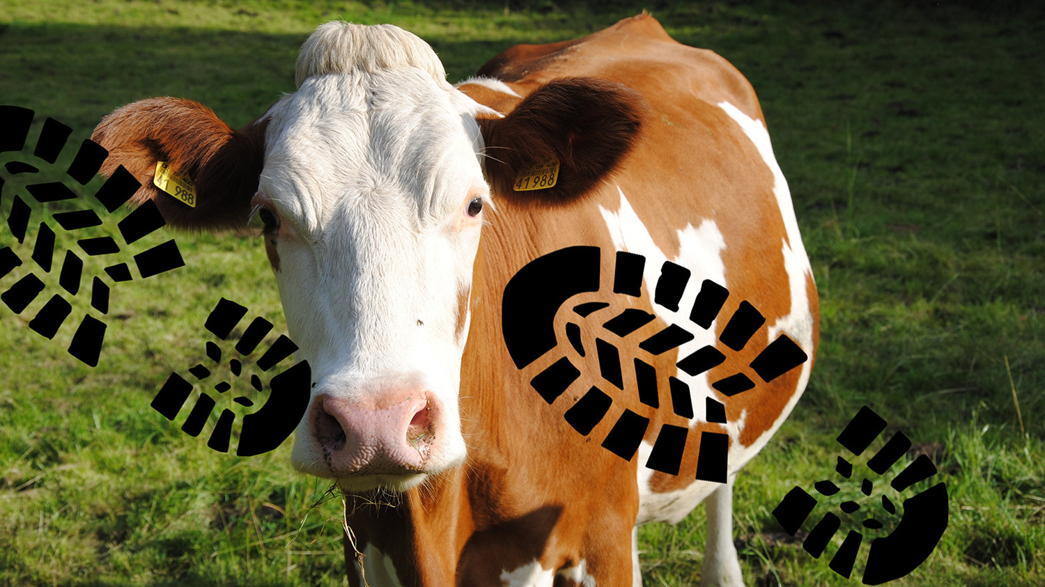 Petition · Cruel is not cool! Clarks, we want nonleather kids' shoes