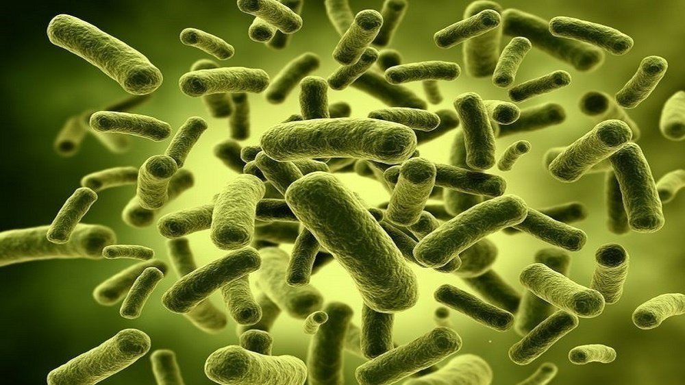 petition-the-nucific-bio-x4-formula-united-states-change