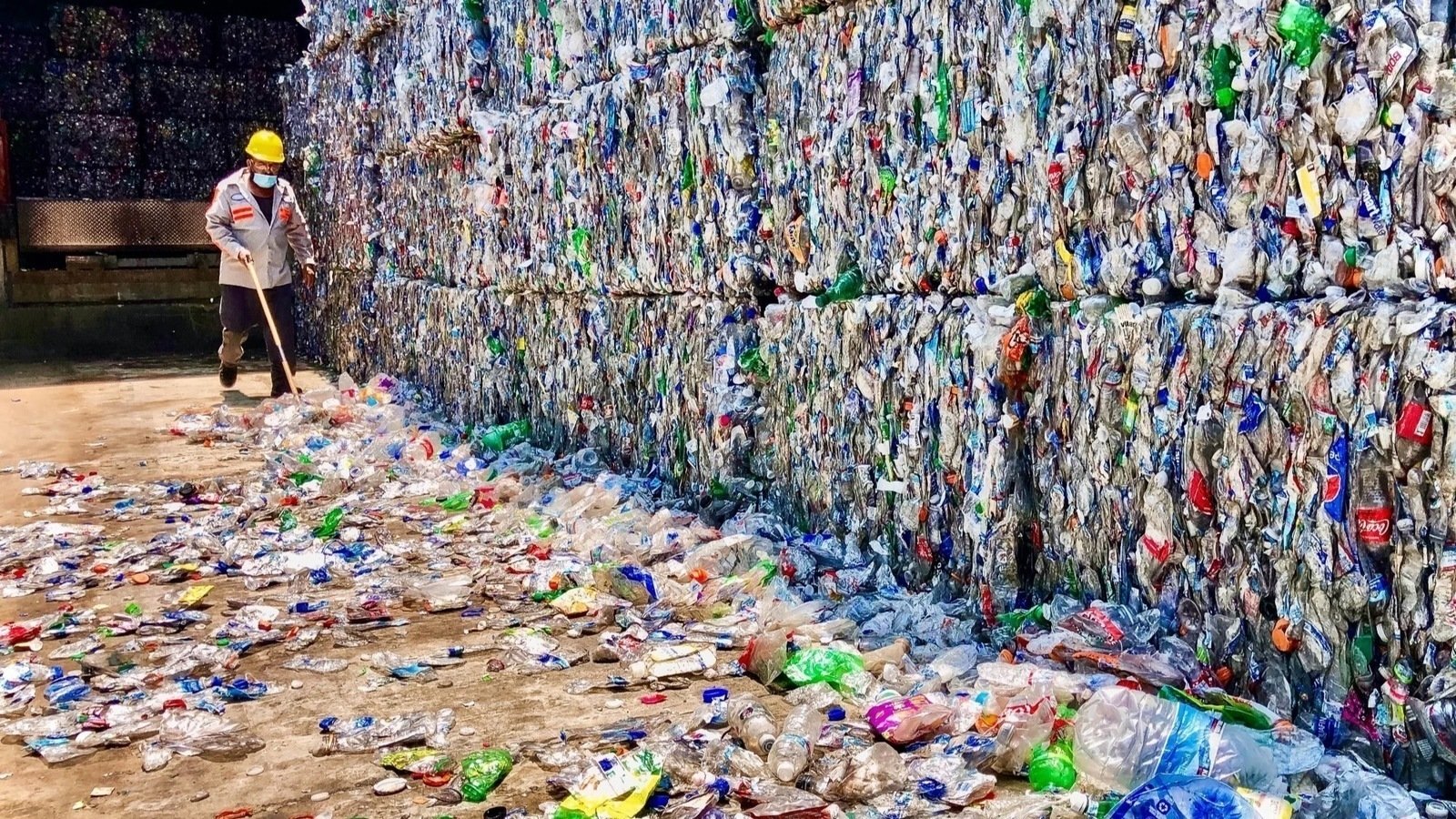 Petition · Eliminate Plastic Waste from Loblaws in Ontario ·