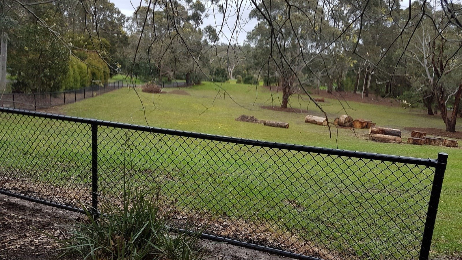Petition · Fully Fence the Off Lead Dog Park at Elizabeth Bridge