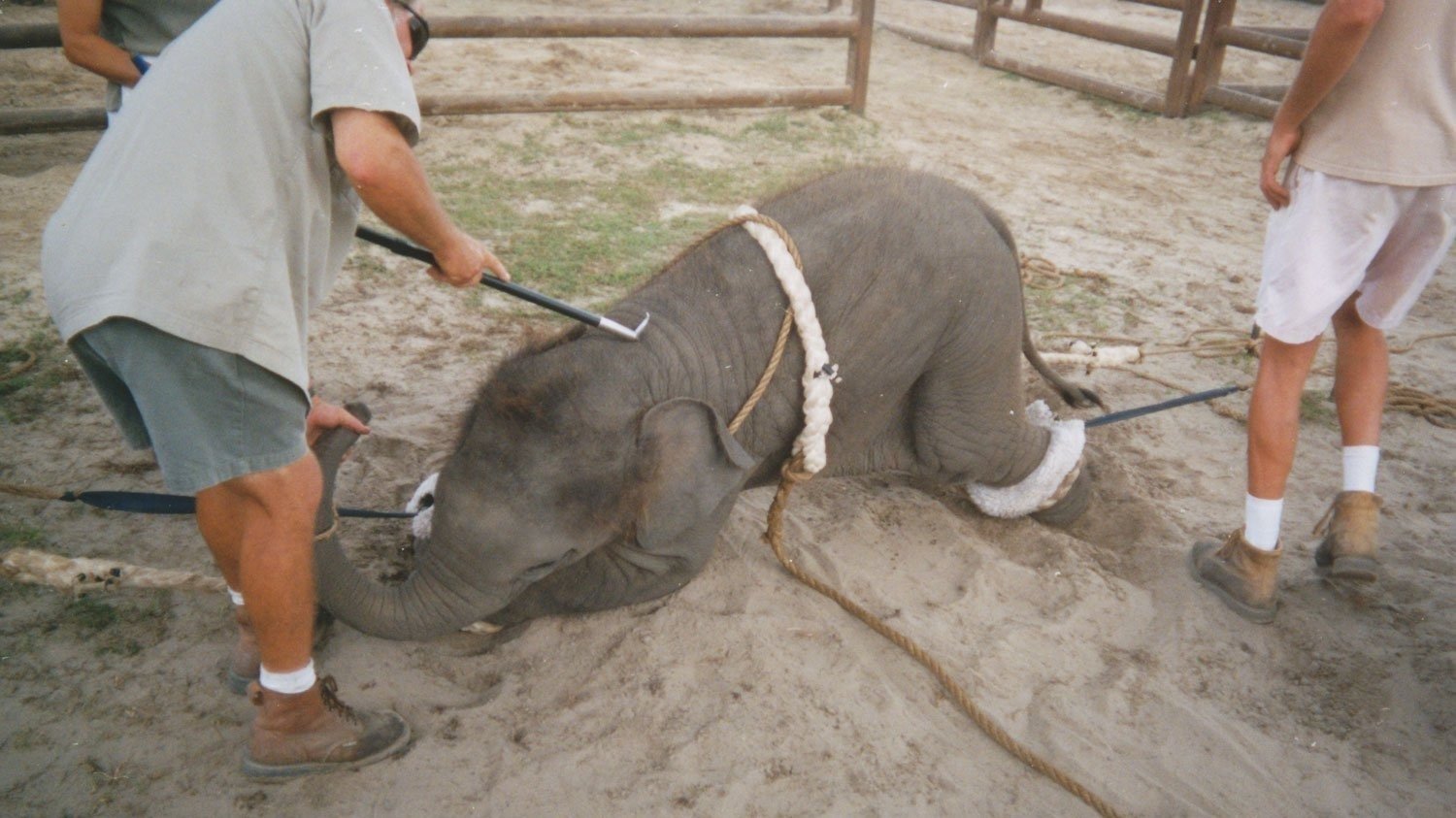 Topic · Circuses · Change.org