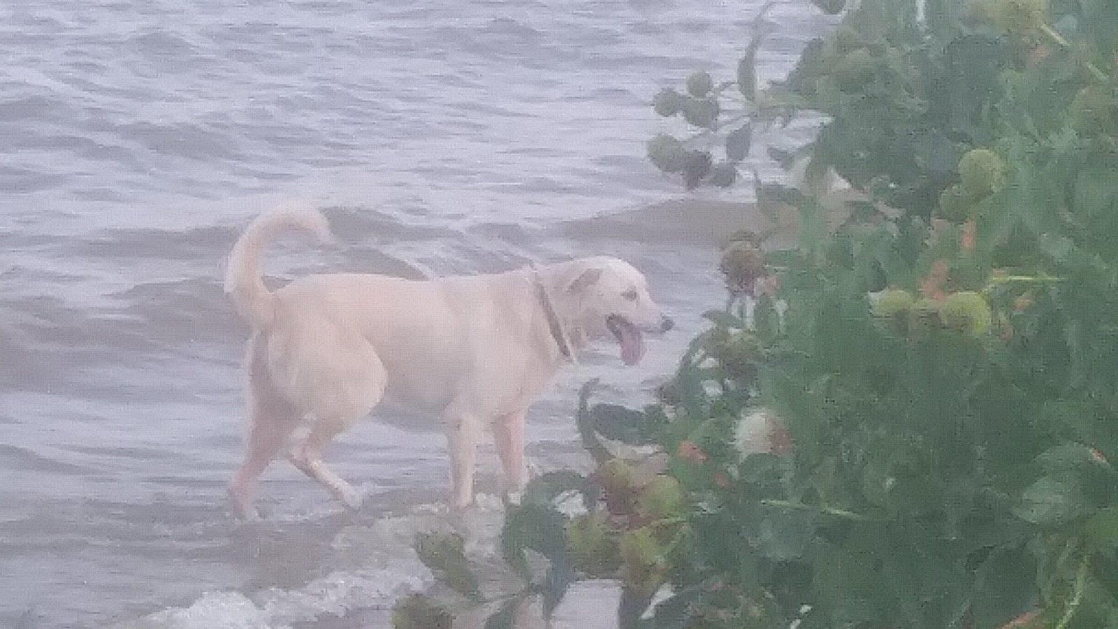 Petition · Save Sherwood Shores Park ·