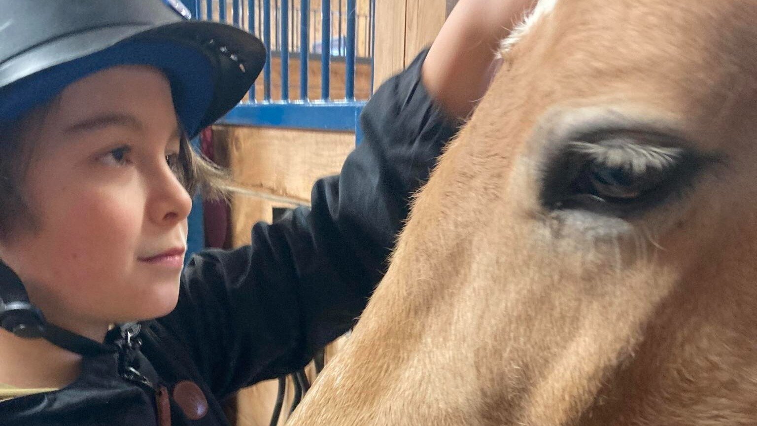 Pétition · Appel à la solidarité : pétition pour sauver l'organisme ...