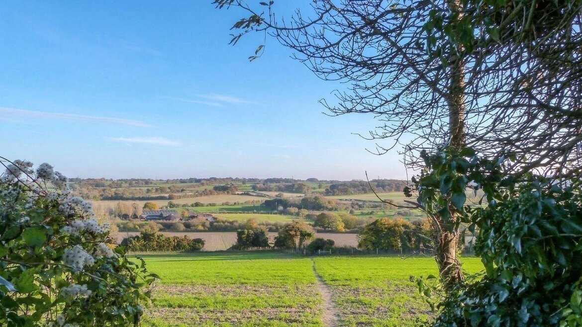 Petition · Sign to oppose the development of 1000 homes on Windmill