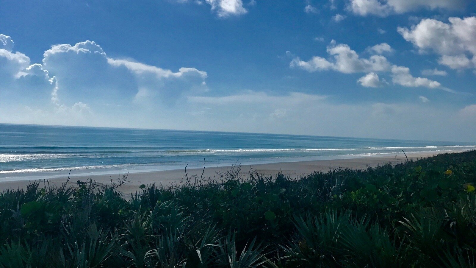 Petition · Protect Public Access to Playalinda Beach – Apply Fair