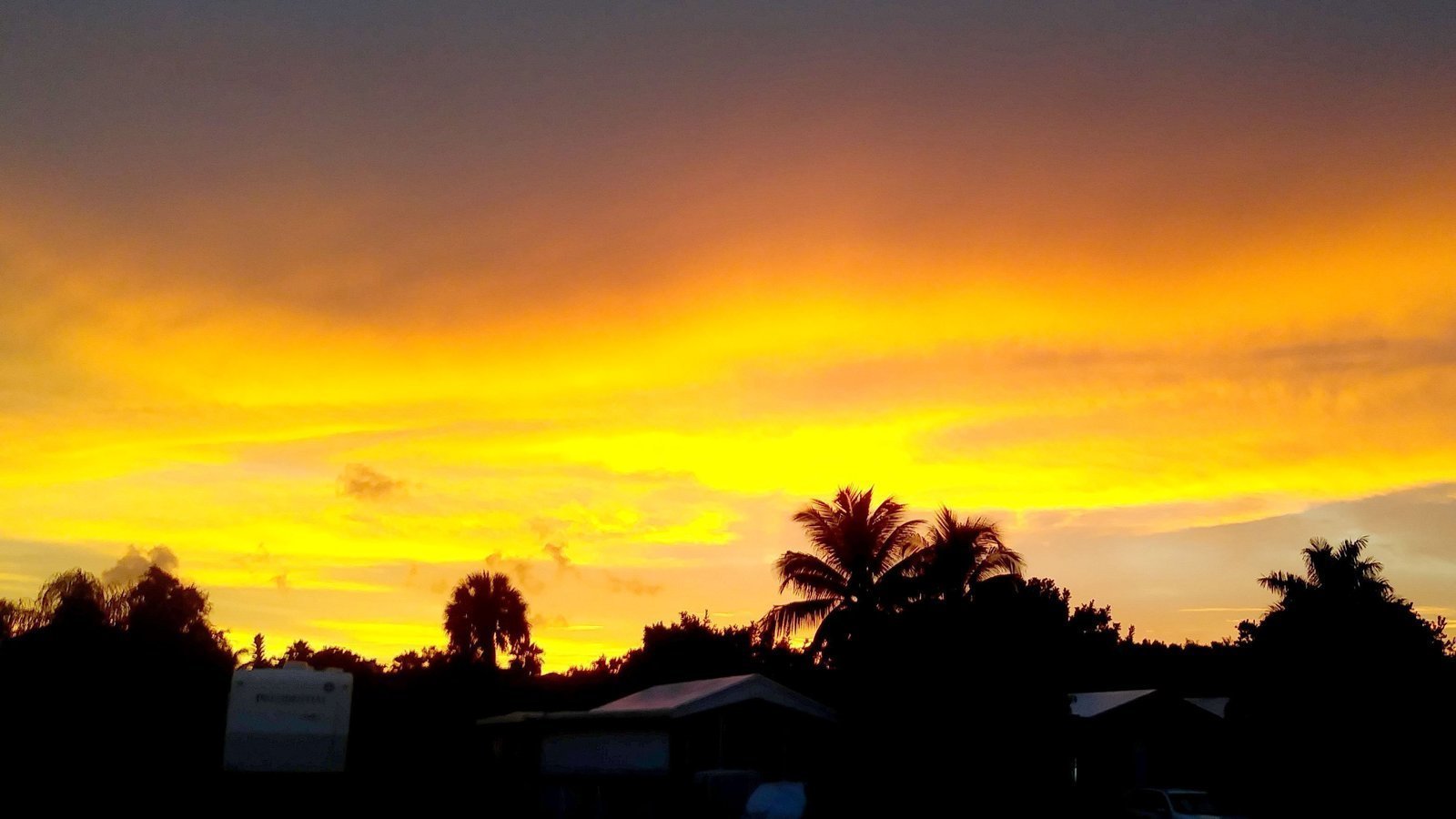 Petition · Special meeting regarding Blue Stream contract. United