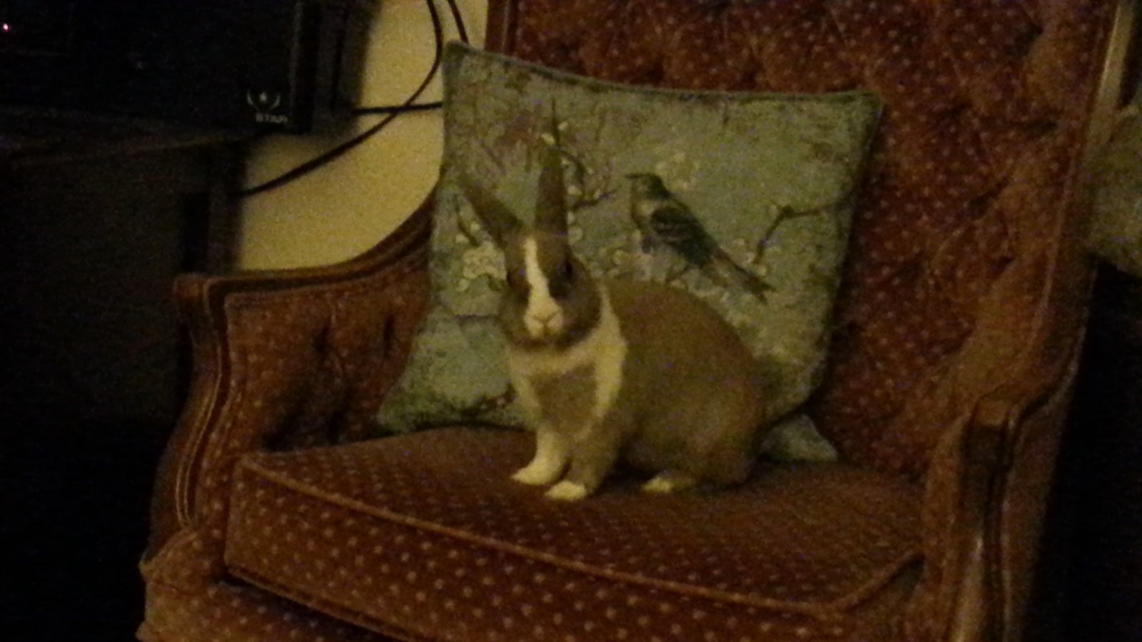 Petition · Please join me in asking Amazon . com to stop selling