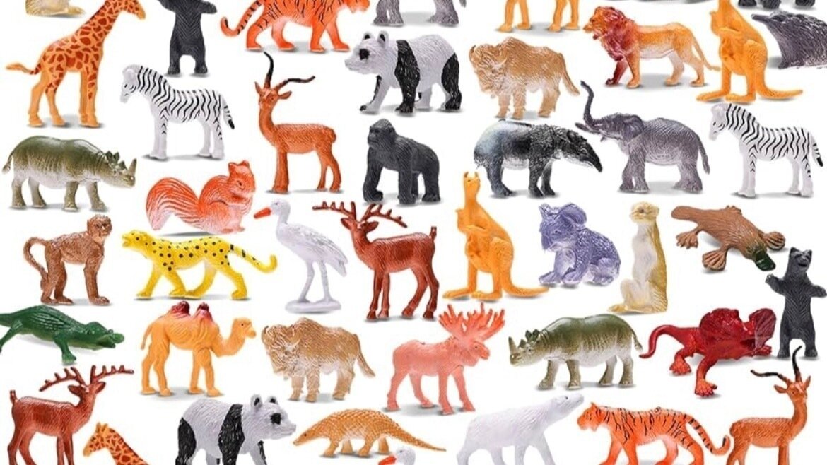 Petition · Justice for animals in zoos - United States · Change.org
