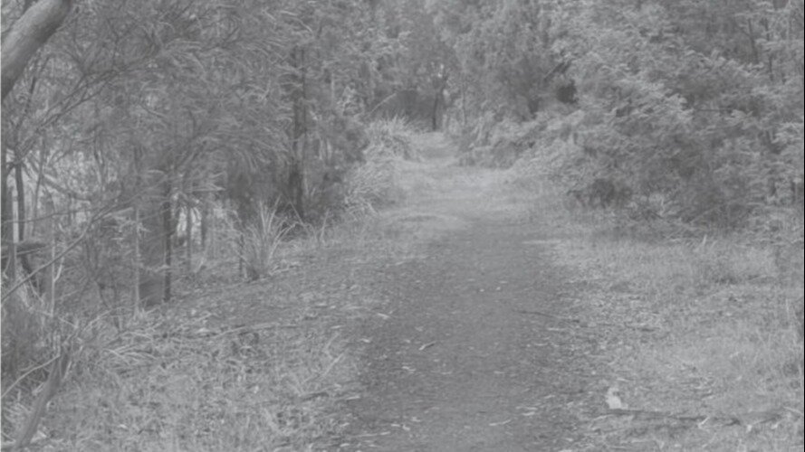 Petition · Continue the Glenwood Trail to the Station Road and Penquite