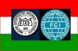 Meoe Petition · The Hungarian government must recognize MEOE ! - United ...