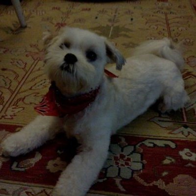ChangeOrg profile picture for @babies