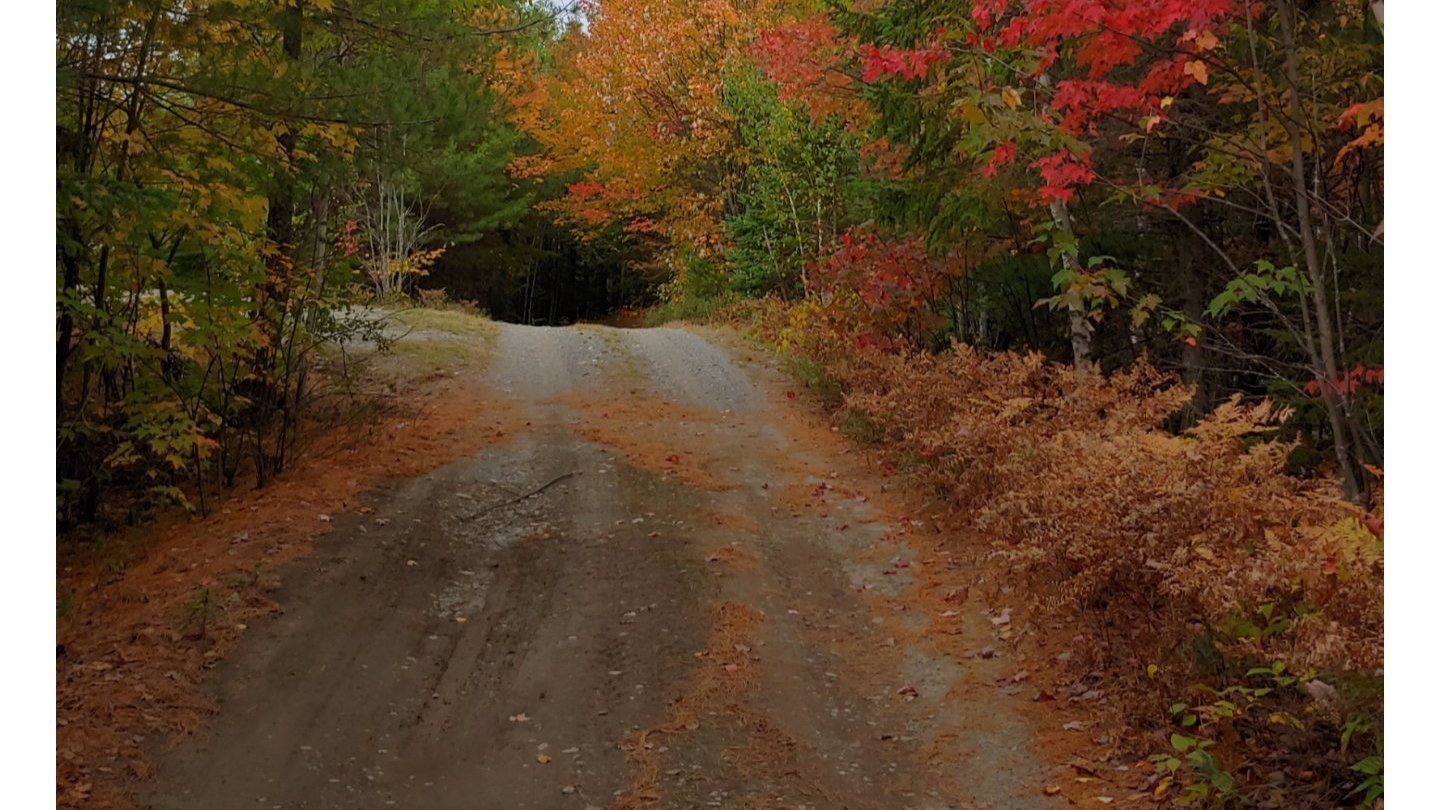 Petition Crown Land Camping Change