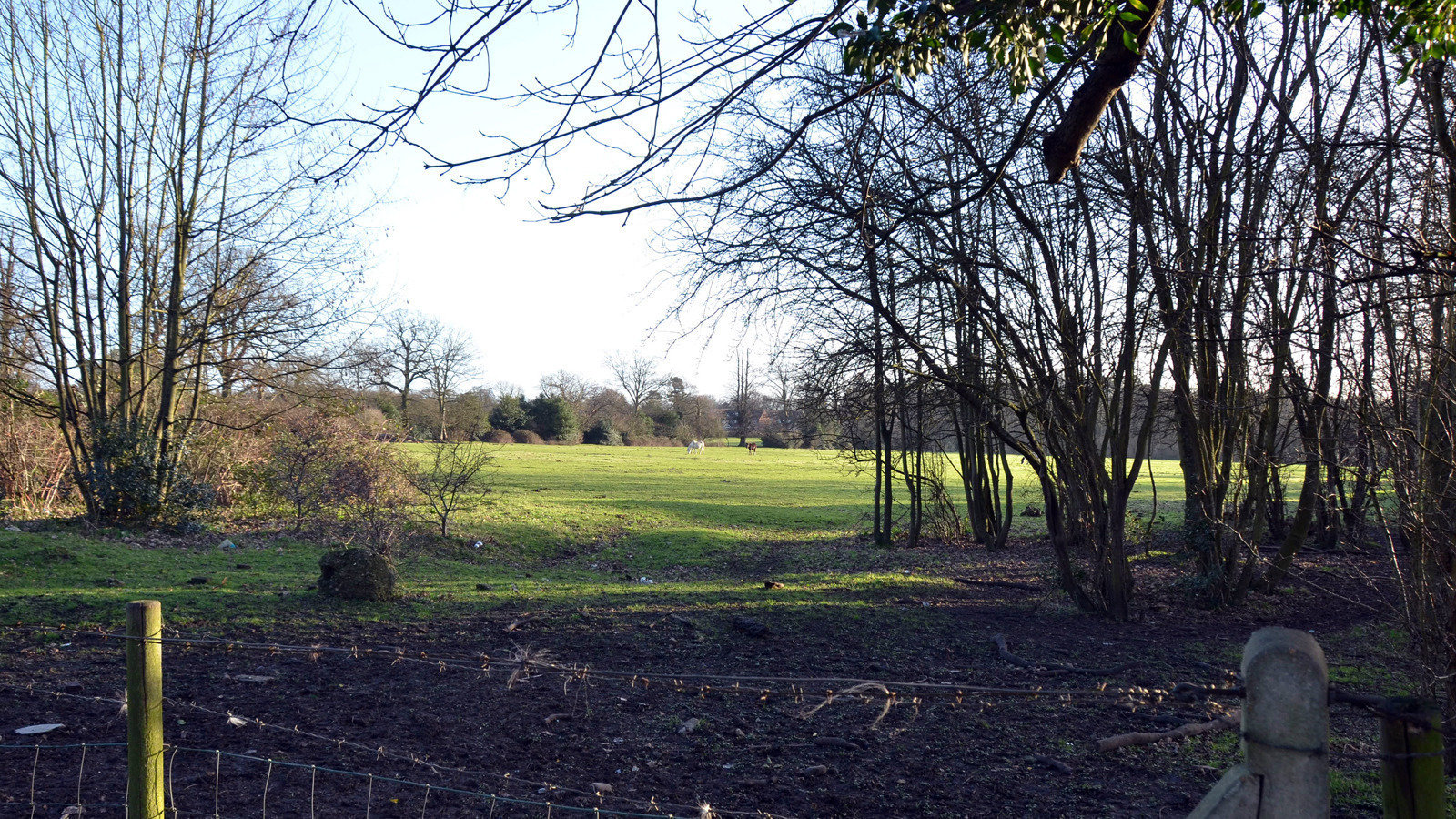 Petition · Not to build on Woodside Road, Abbots Langley United