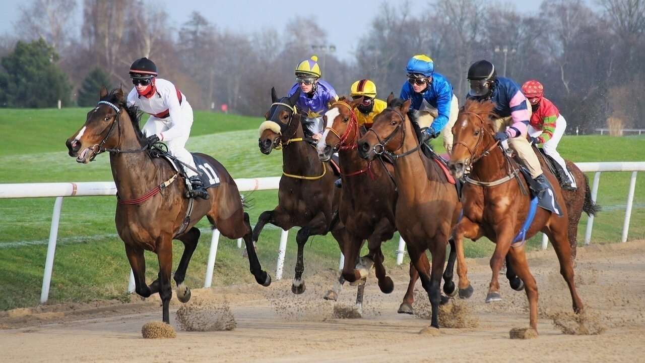 Petition · Stop Horse Racing meetings when temperatures exceed 30 degrees (max) United Kingdom