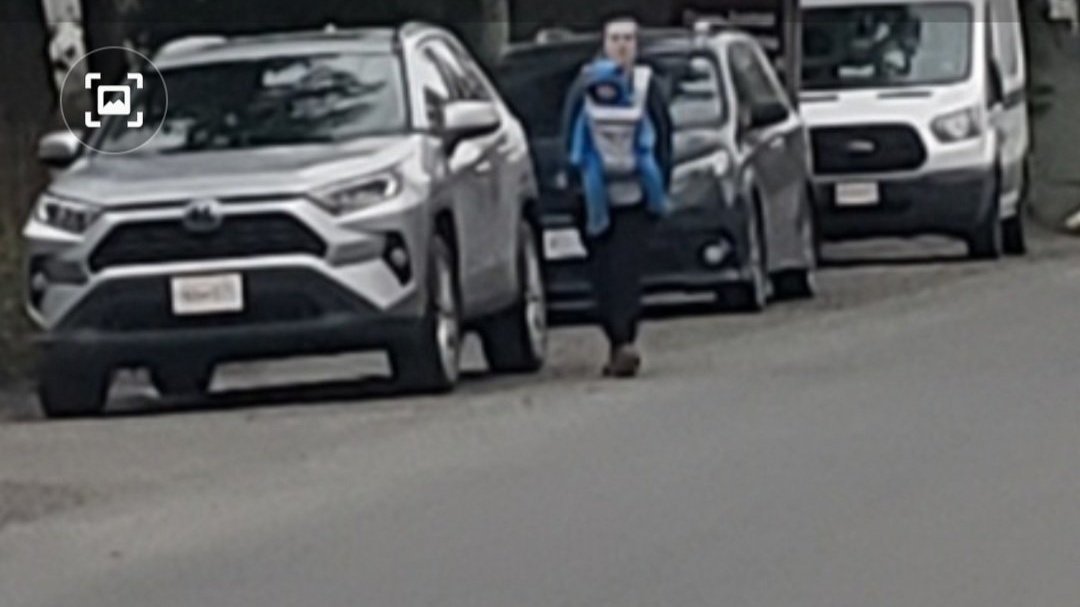 Petition · MAKE OUR STREETS SAFE IN LANGFORD Canada ·