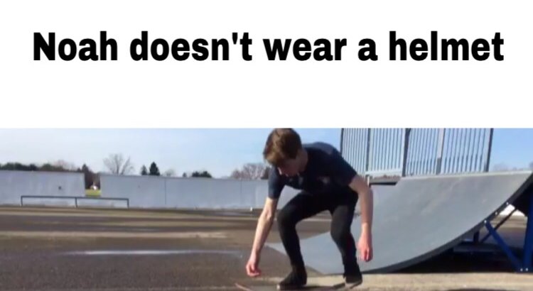 oxendales summer wear