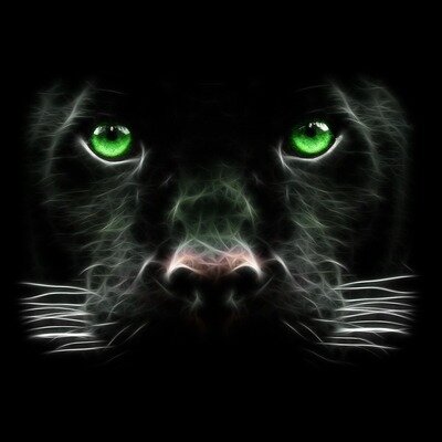 ChangeOrg profile picture for @zenith