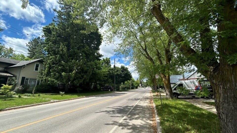 Petition · Stop the Removal of 36 Trees on Sixth Street Collingwood