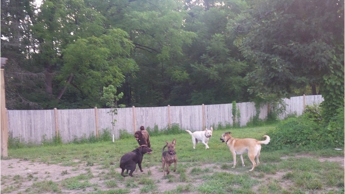 Petition · Gardiner Dog Park Gardiner, United States ·