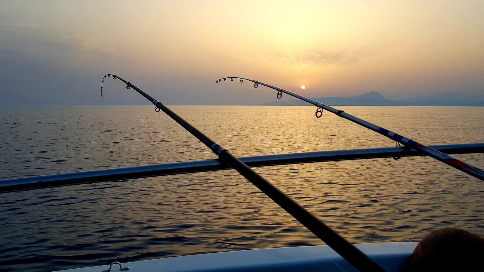 Petizione · Apertura pesca sportiva e ricreativa in Campania · Petizione · Apertura pesca sportiva e ricreativa in Campania ·