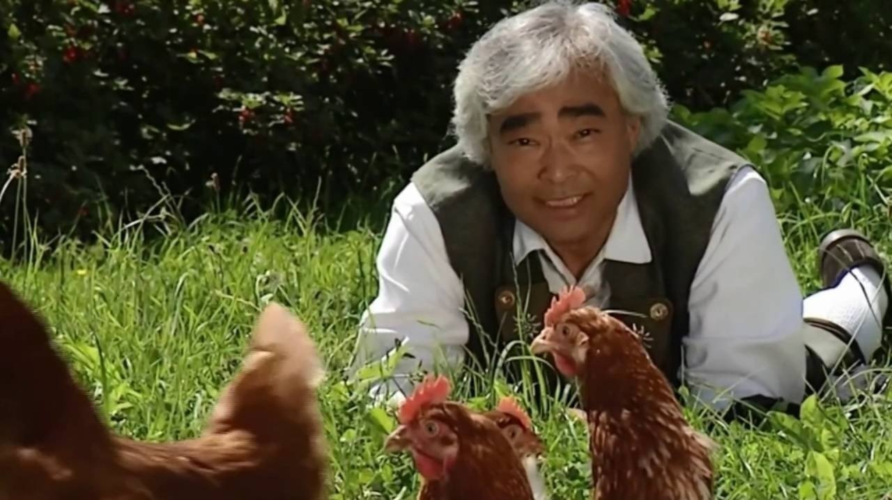 Petition · Play the Chicken Yodel ·