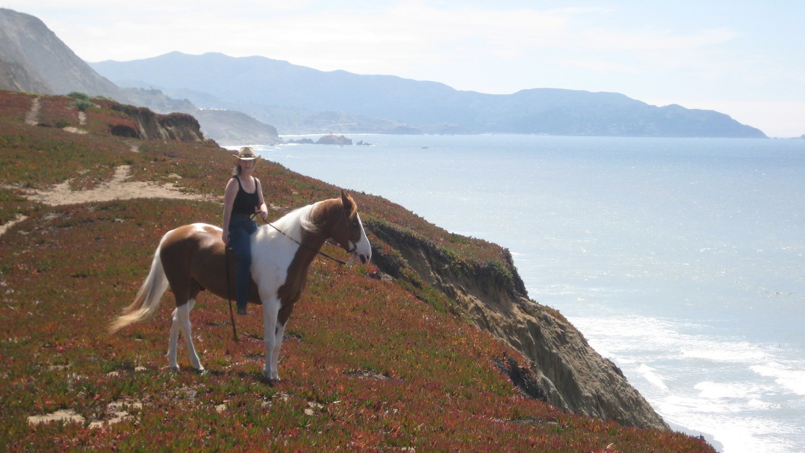 Petition · Save Open Space for Outdoor Recreation at Thornton Beach Bluff in CA ·