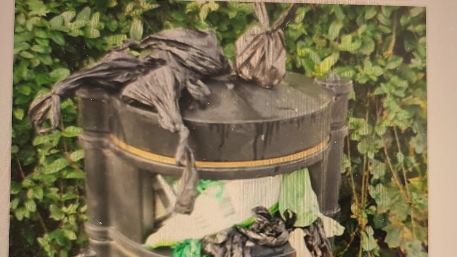 Petition · Bins had not been collected. Demand Accountability and