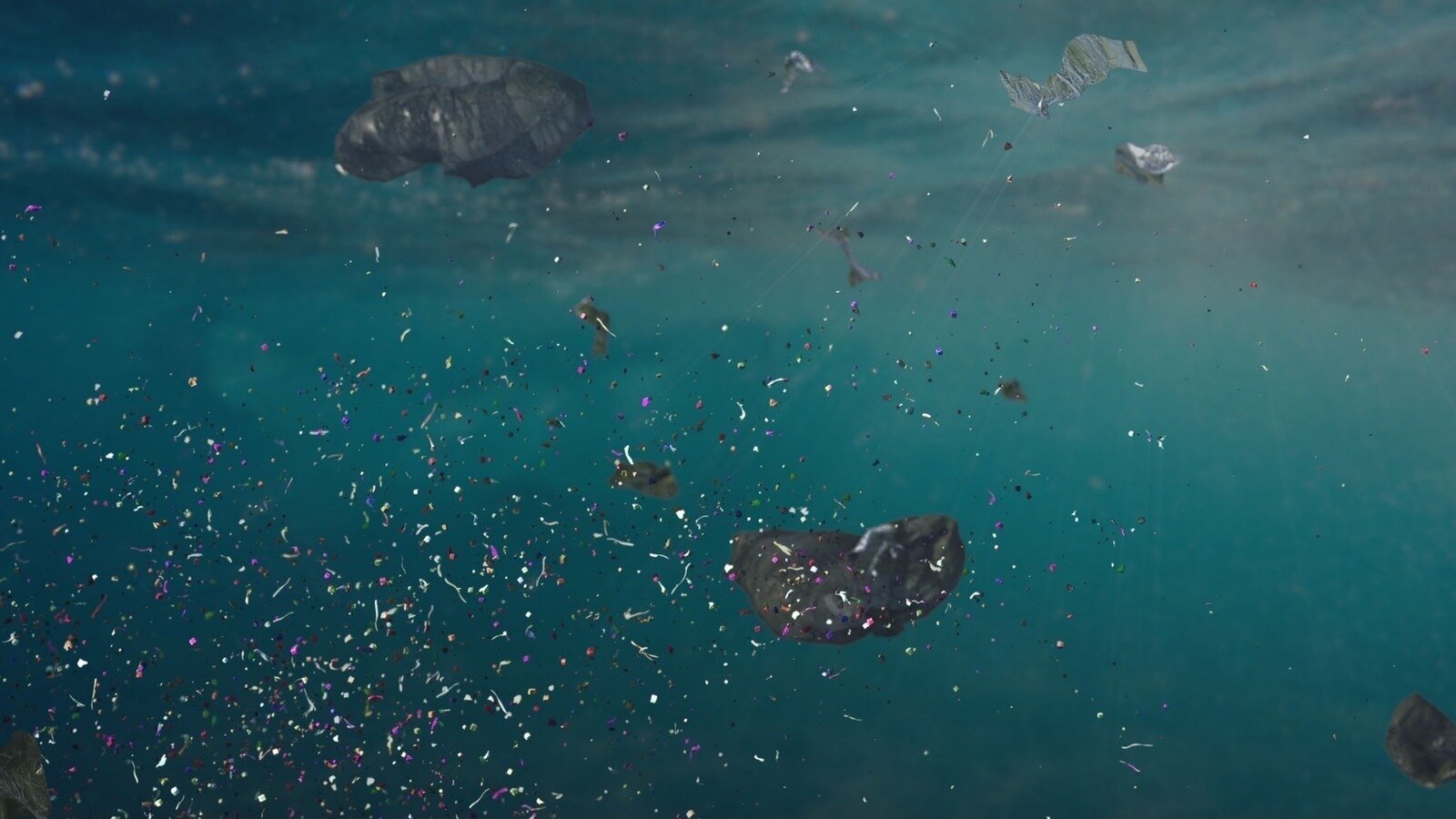 Petition · Raise Awareness About Microplastic Pollution in San ...