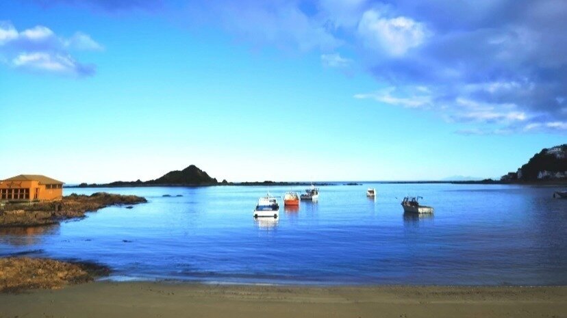 Petition · Save the Island Bay Marine Education Centre "Bait Shed