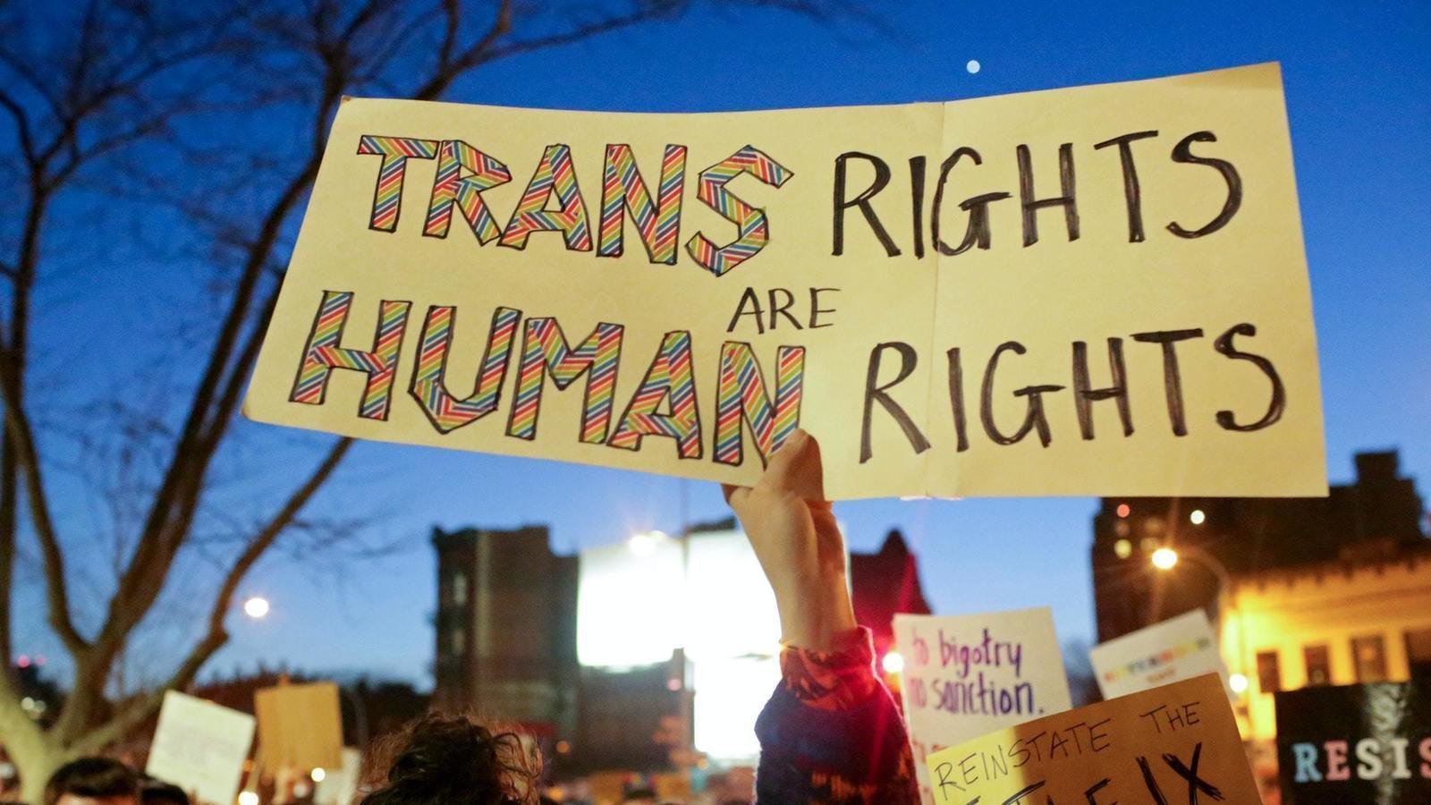 Petition · Protect Trans & Intersex Students In Your Sex