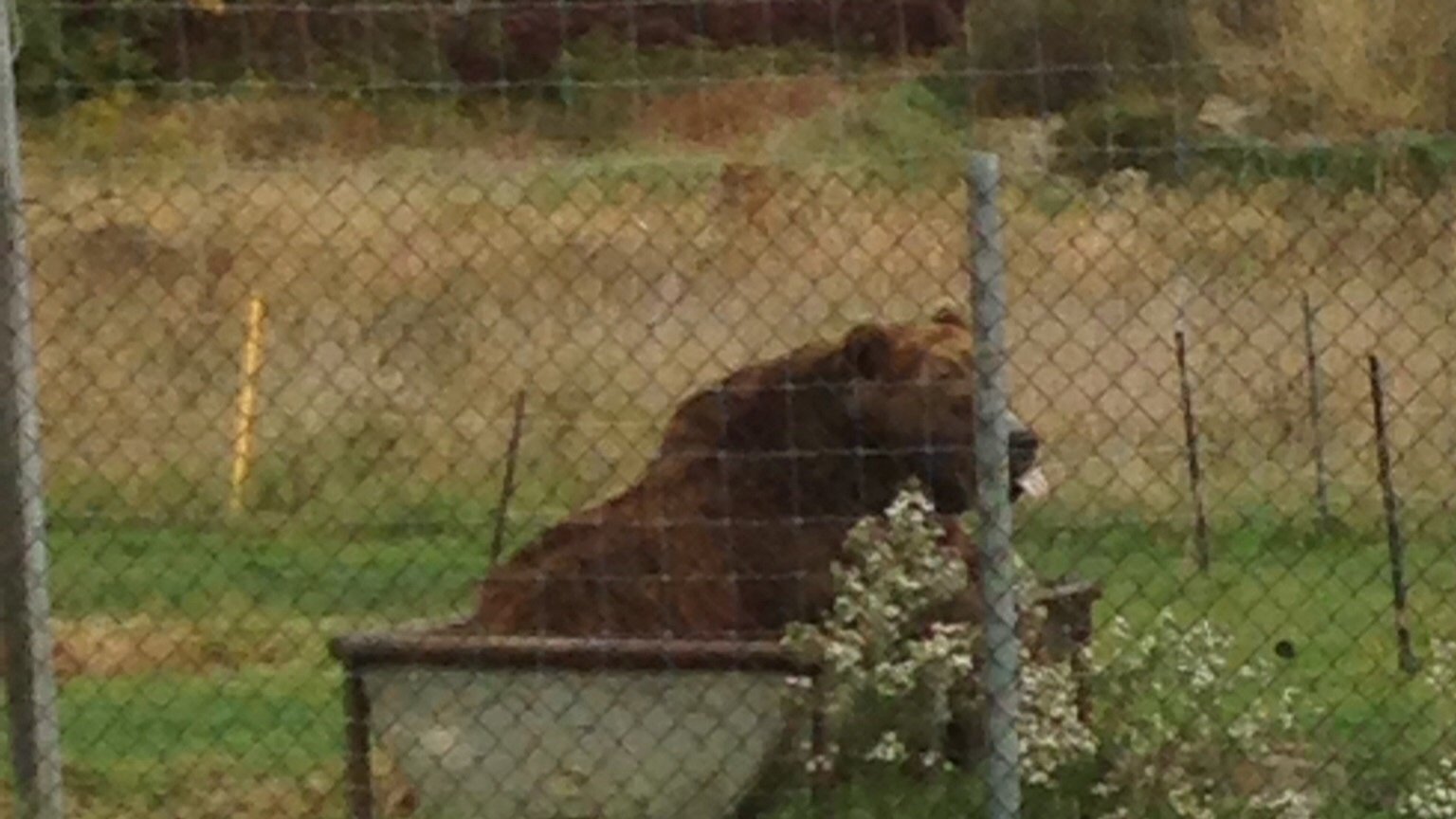 Petition · Shut down Papanack Zoo ·