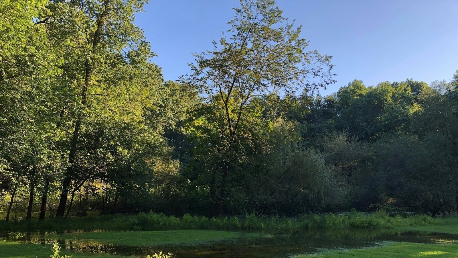 Petition · OT Planning Board should vote "No" on Assisted Living