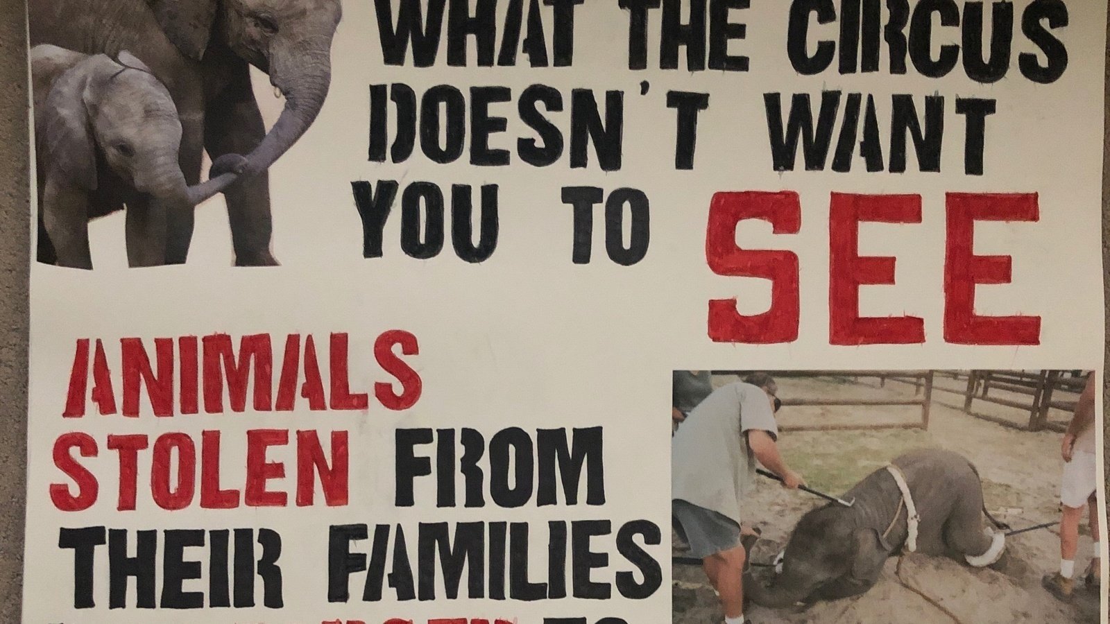 Petition · Ban circuses using wild animals in all states - United