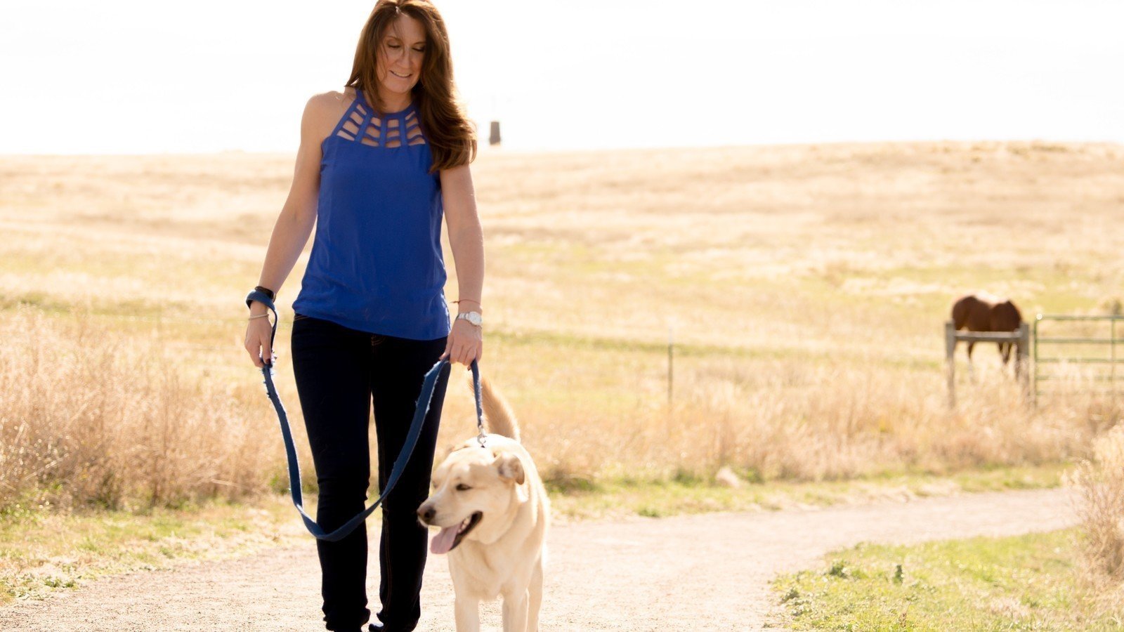 Petition · Off Leash Dog Hours at Our Parks! United States ·