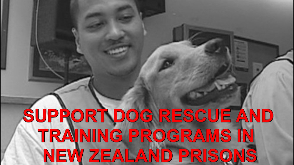 Petition · We want Dog Rescue and Training Programs in New Zealand