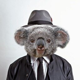 ChangeOrg profile picture for @leonard