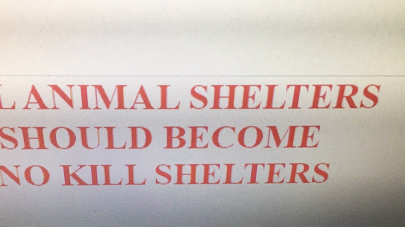 Petition · All Animal Shelters Should Nokill Shelters ·
