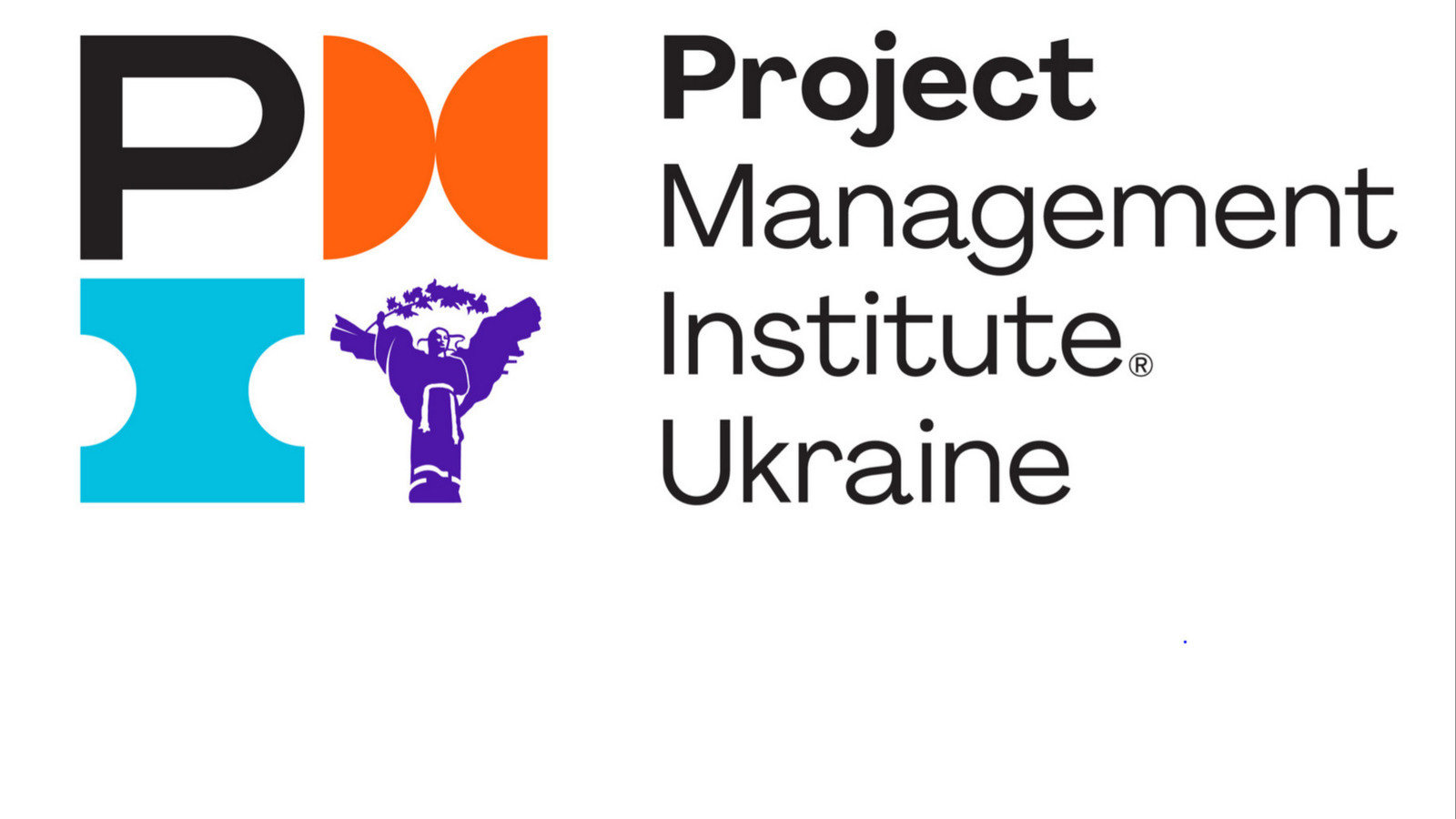 Институт управления проектами pmi