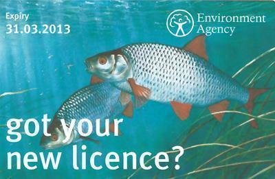 rod licence