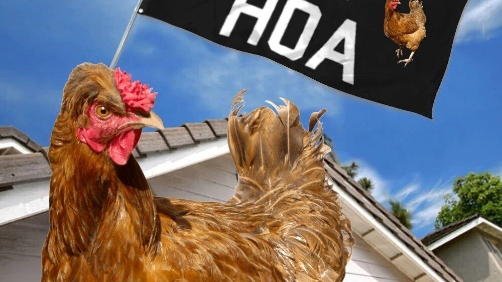 Petition · Stop the HOA from Restricting Backyard Chickens in Austin Tax Payer Neighborhoods