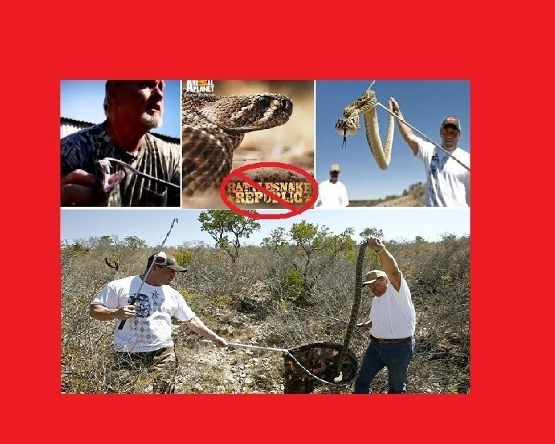Eric Timaeus Petition · Put the Timaeus Team back on Rattle Snake Republic - United ...