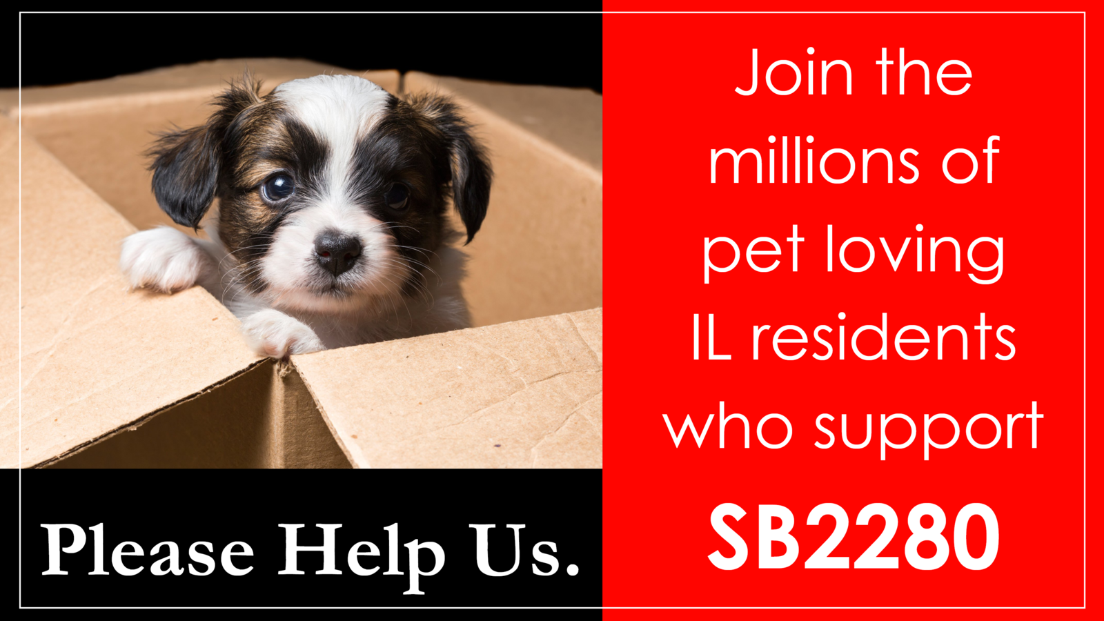 Petition · No more puppy mill dogs in Illinois pet stores! Please sign