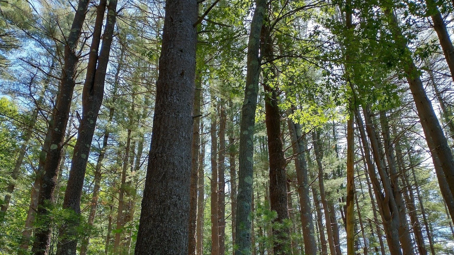 Petition · Request to make nature prescriptive - United States · Change.org